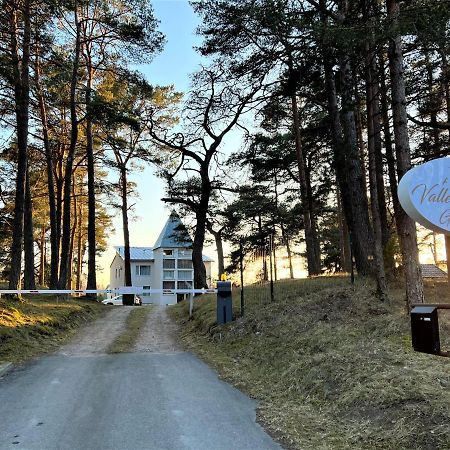 Vallery Guest House Bigauņciems エクステリア 写真
